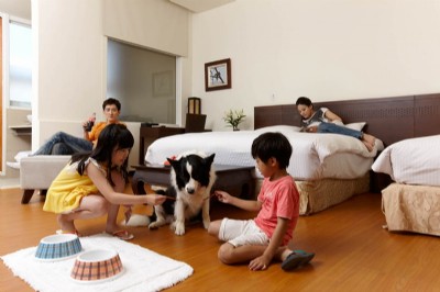 寵物客房