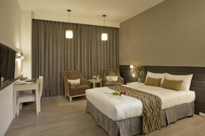 Luxury Double Room(Lake view)